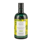 شامپو بدن دیپ سنس حاوی عصاره درخت چای و بامبو مناسب پوست چرب 